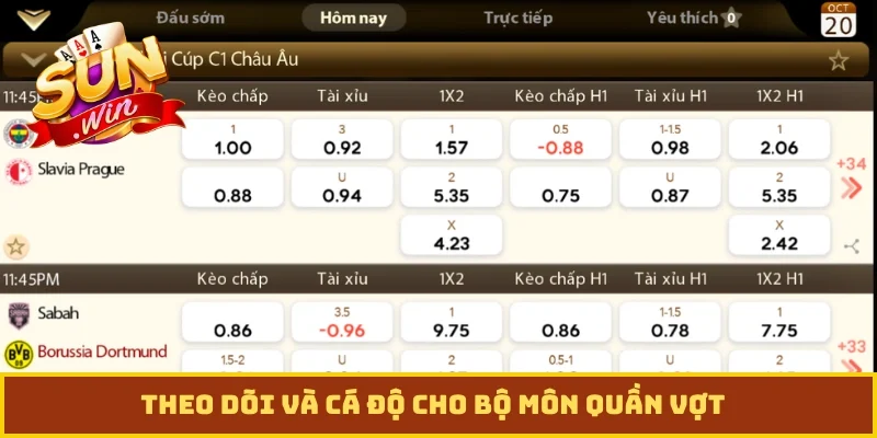 Theo dõi và cá độ cho bộ môn quần vợt