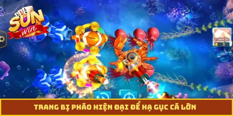 Trang bị pháo hiện đại để hạ gục cá lớn